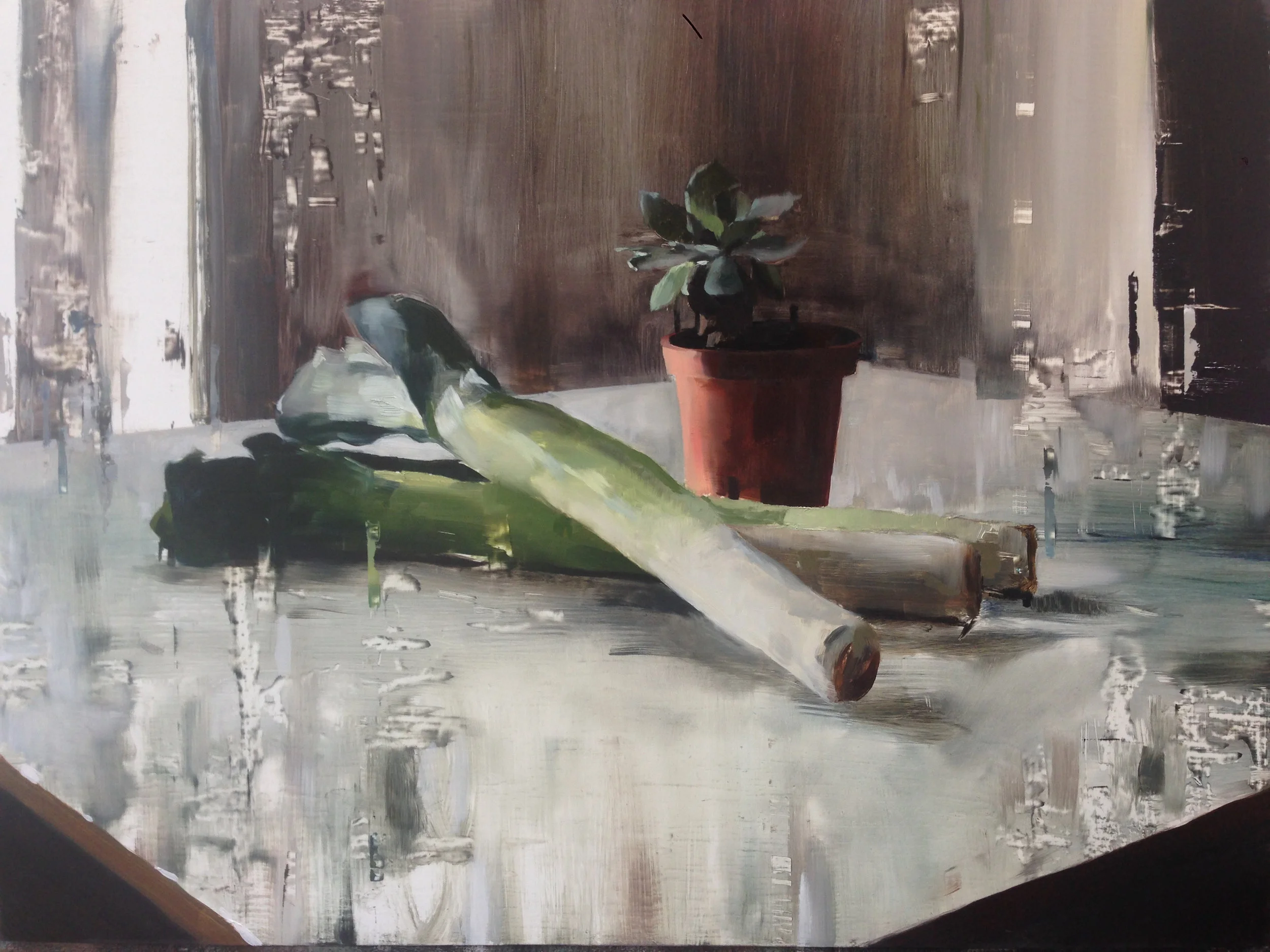 Leeks and Plant