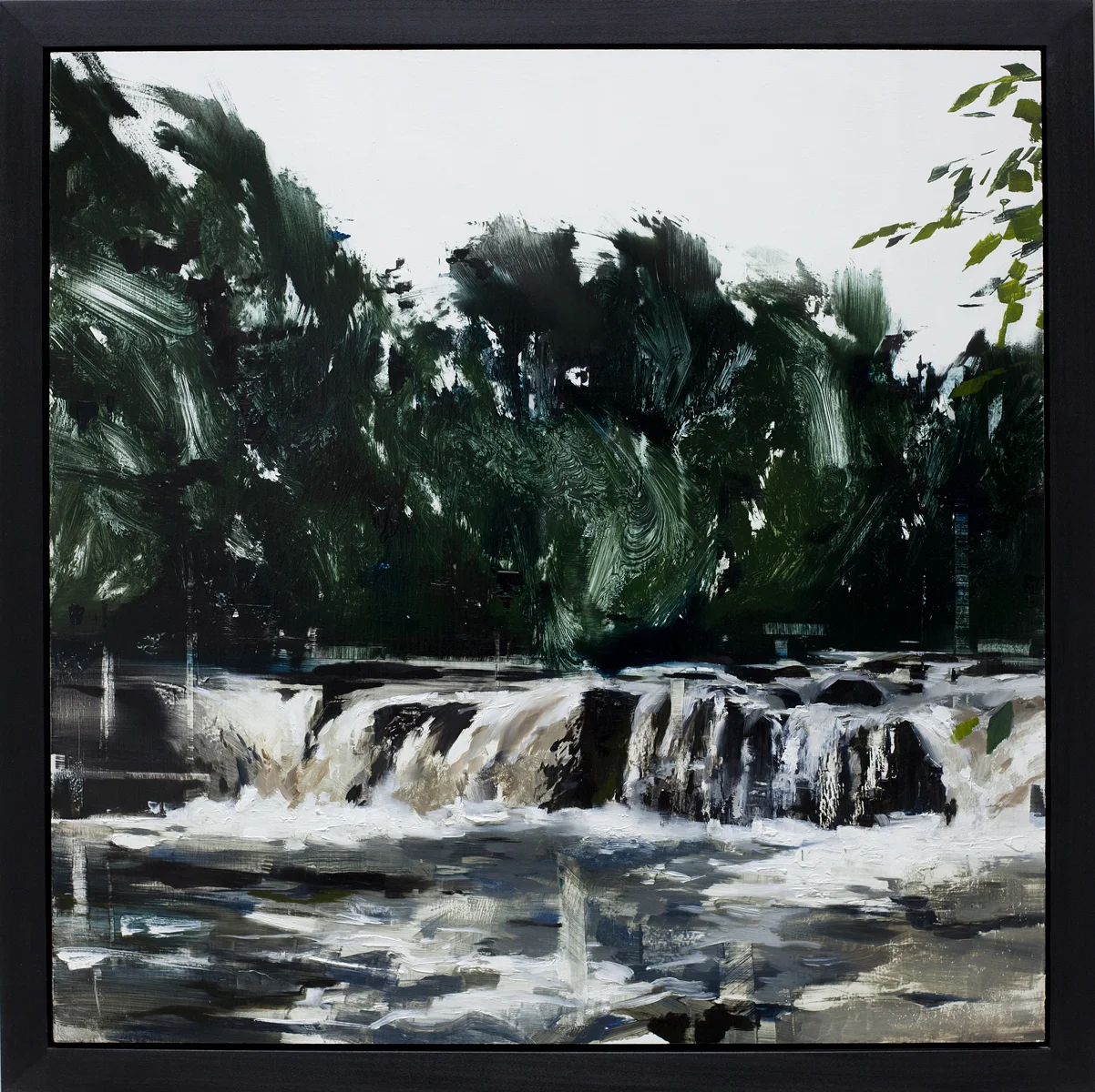 Woodland Waters