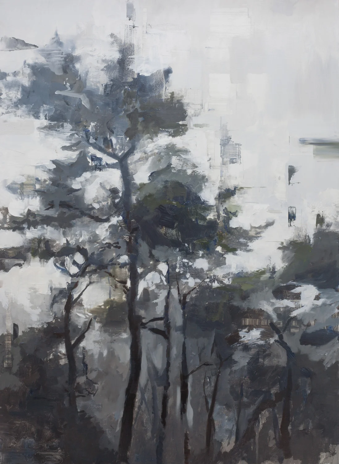 trees-in-the-mist-web.jpg