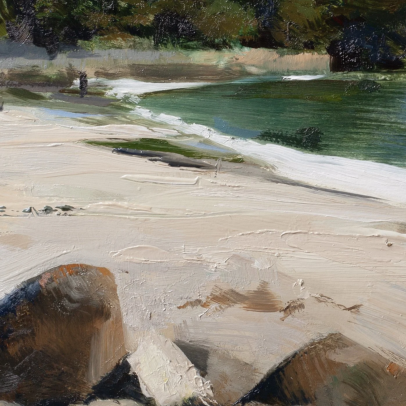 Swanpool Rocks and Headland detail2.jpg