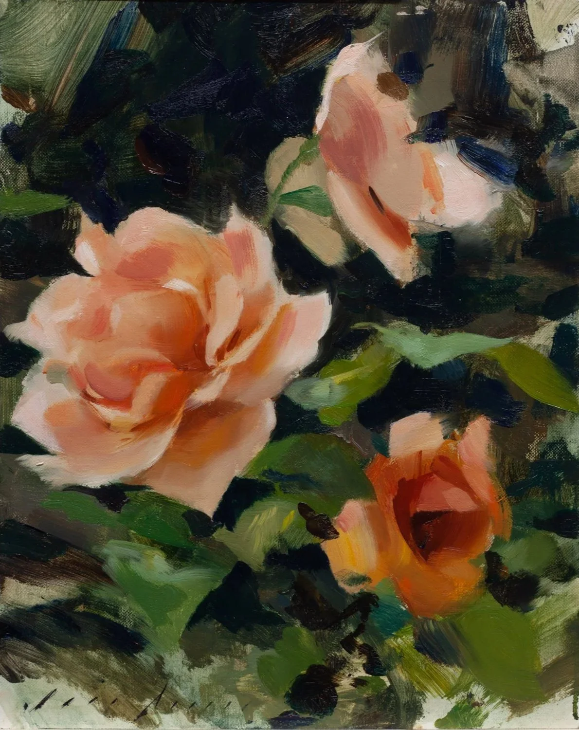 Orange Roses