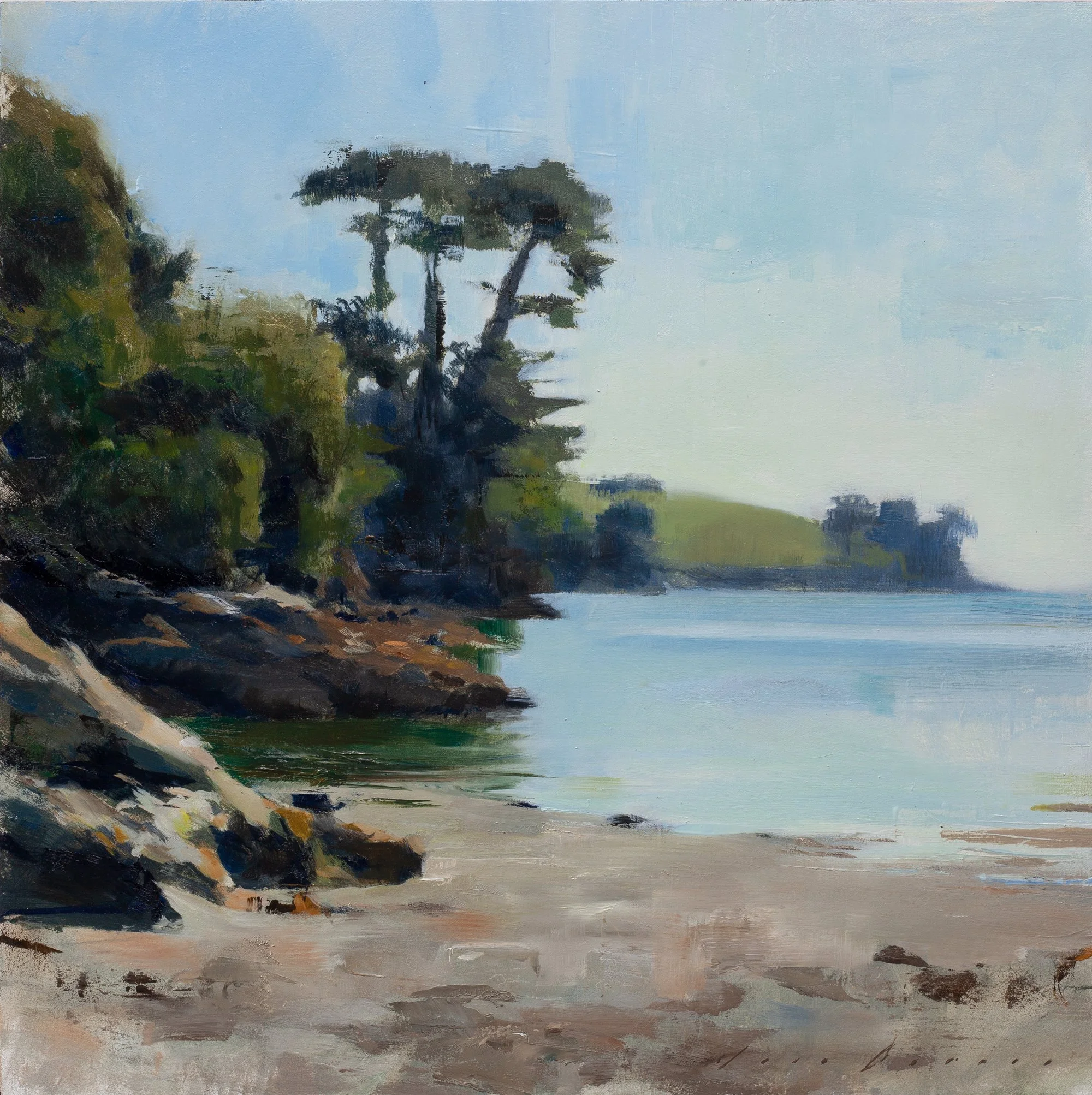 Grebe Beach in Summer Light