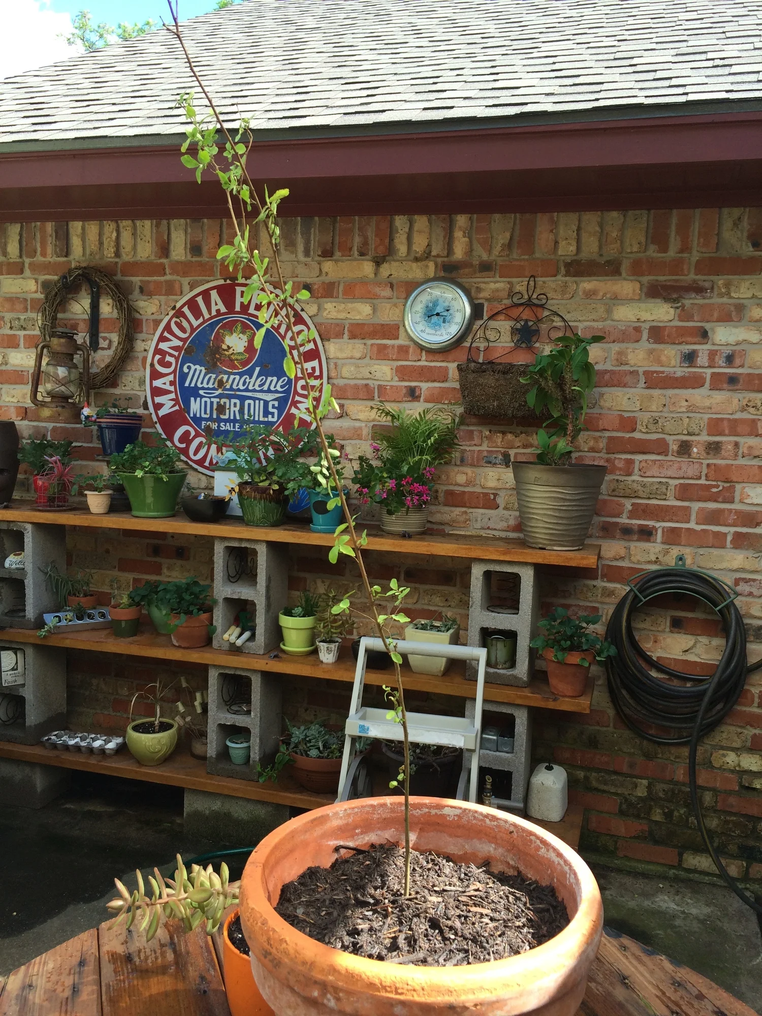 earth day coming right up