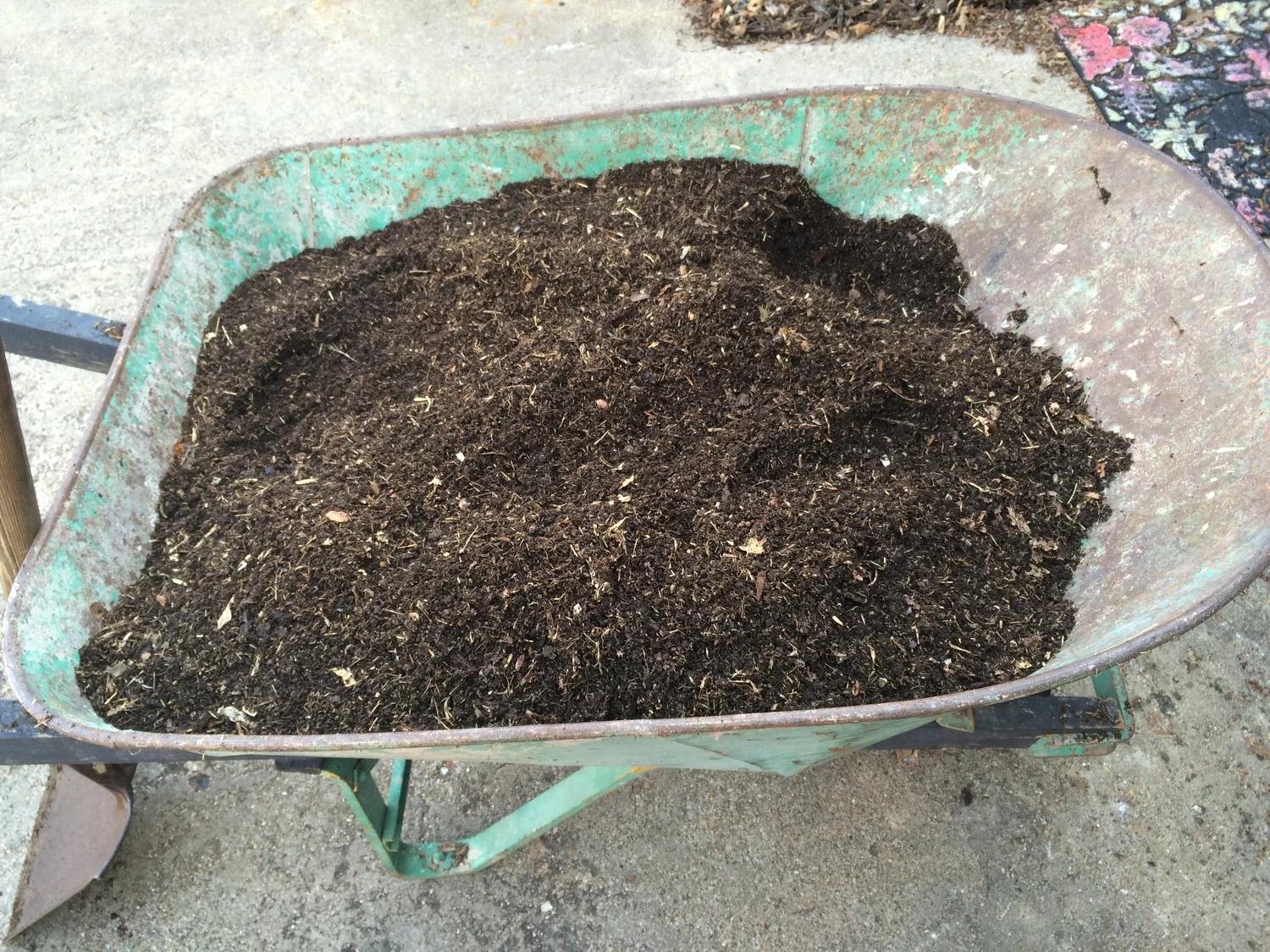 compost – repurpose – dumpster diving
