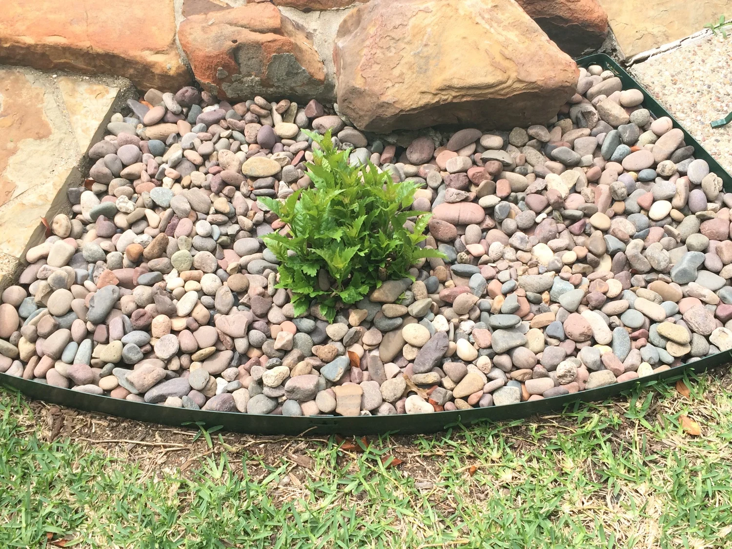 tip of the day: got tired mulch?  try river rocks!