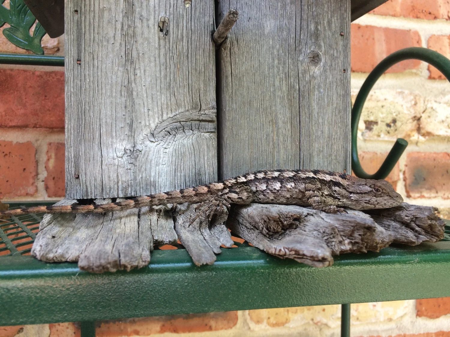 tip of the day:  shelter for everyone!