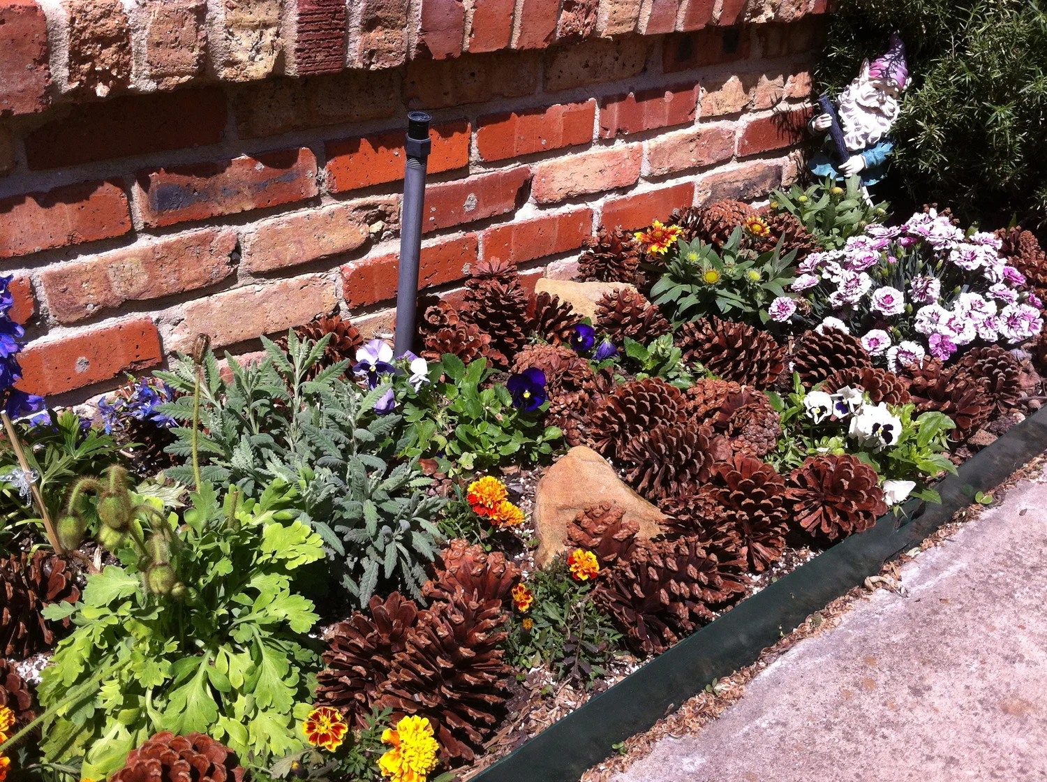 tip of the day:  pine cones