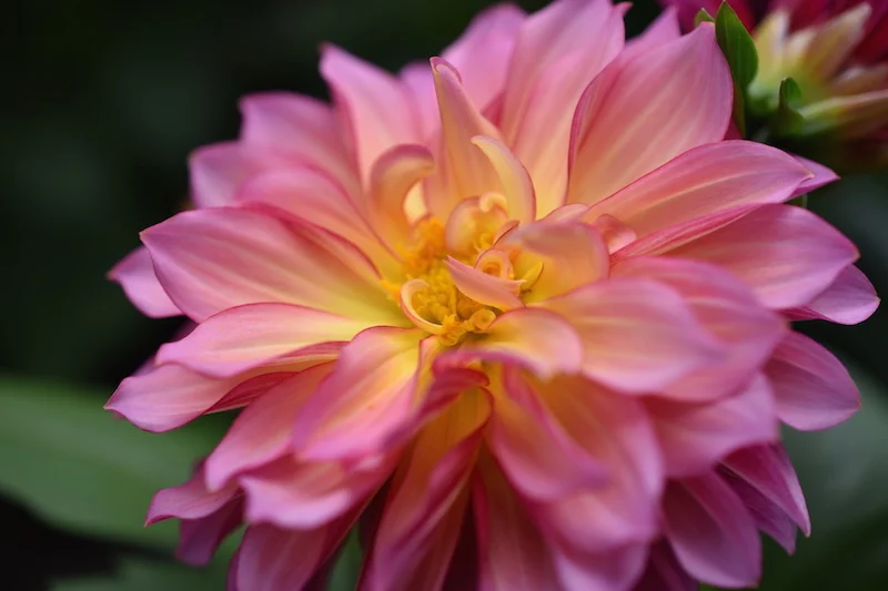 CranioSacral Massage.JPG