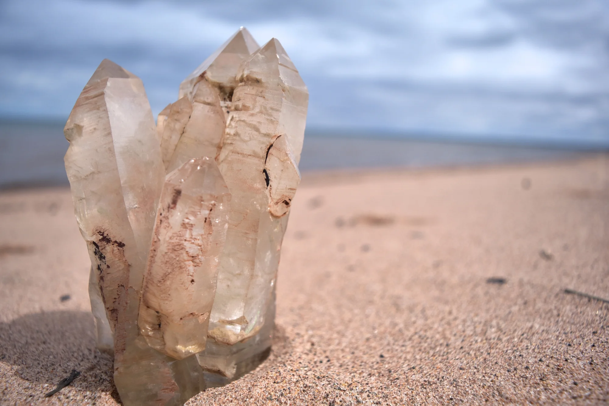 DSC_0172 - Version 2.JPG