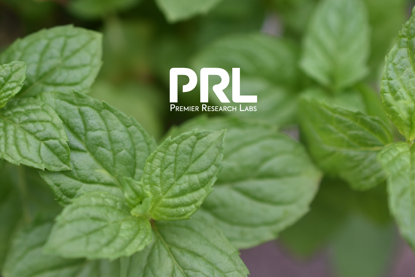 prl_banner.png