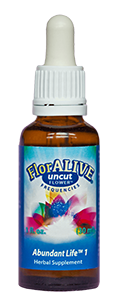 Abundant-Life-1.3.png
