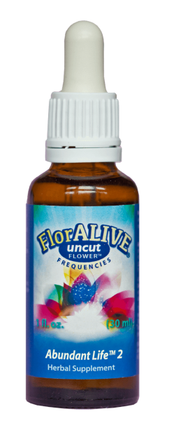 Abundant-Life-2-242x600.png