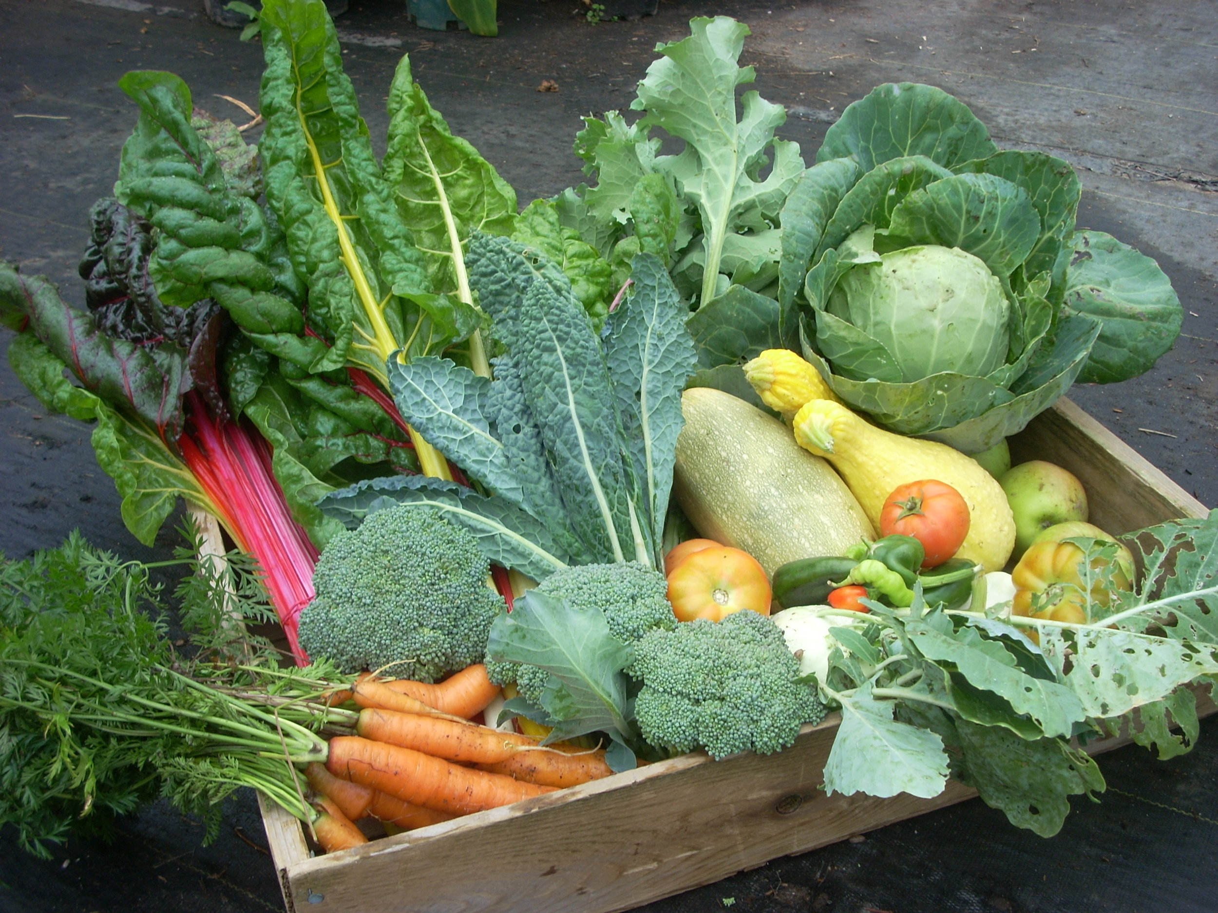 Pure-food-basket-vegetables.jpg