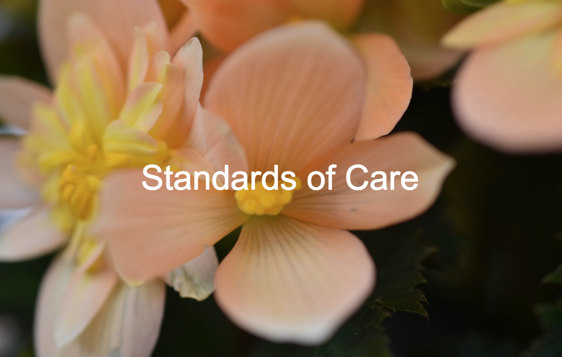 Standards of Care