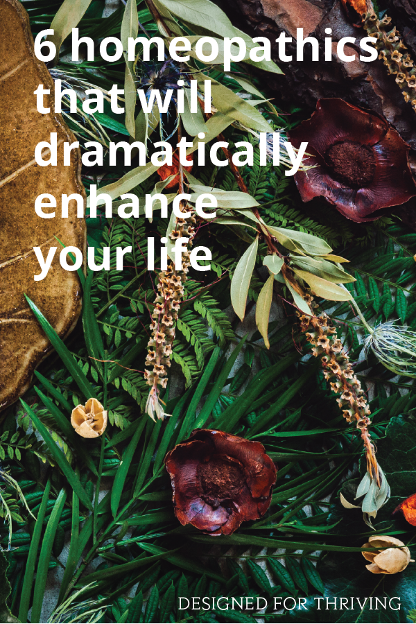 6 homeopathics that will dramatically enhance your life