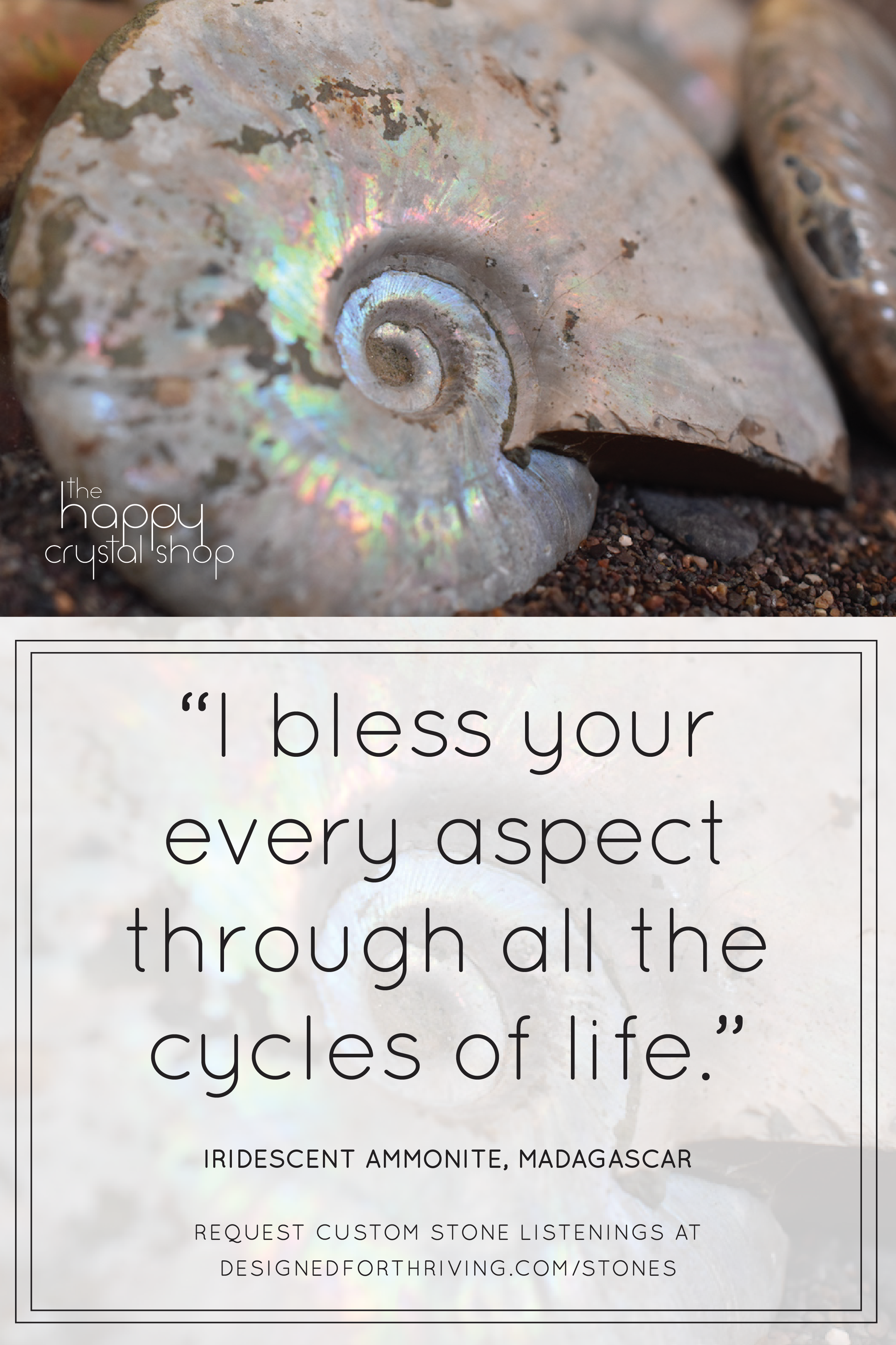 Stone Feature: Iridescent Ammonite