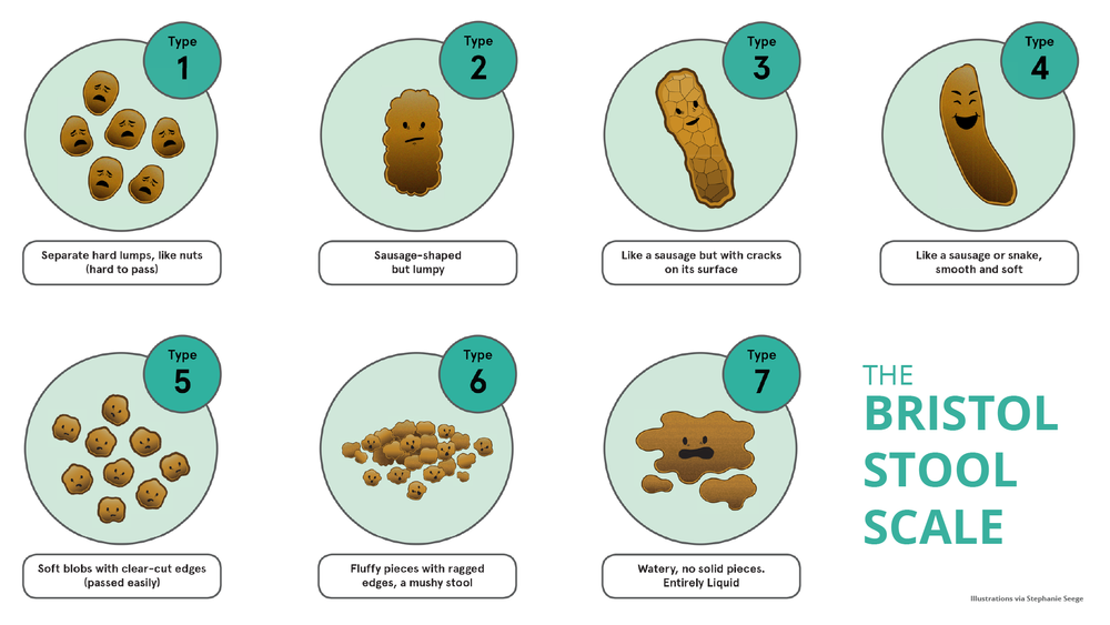 What your poo can reveal to you — Designed for Thriving