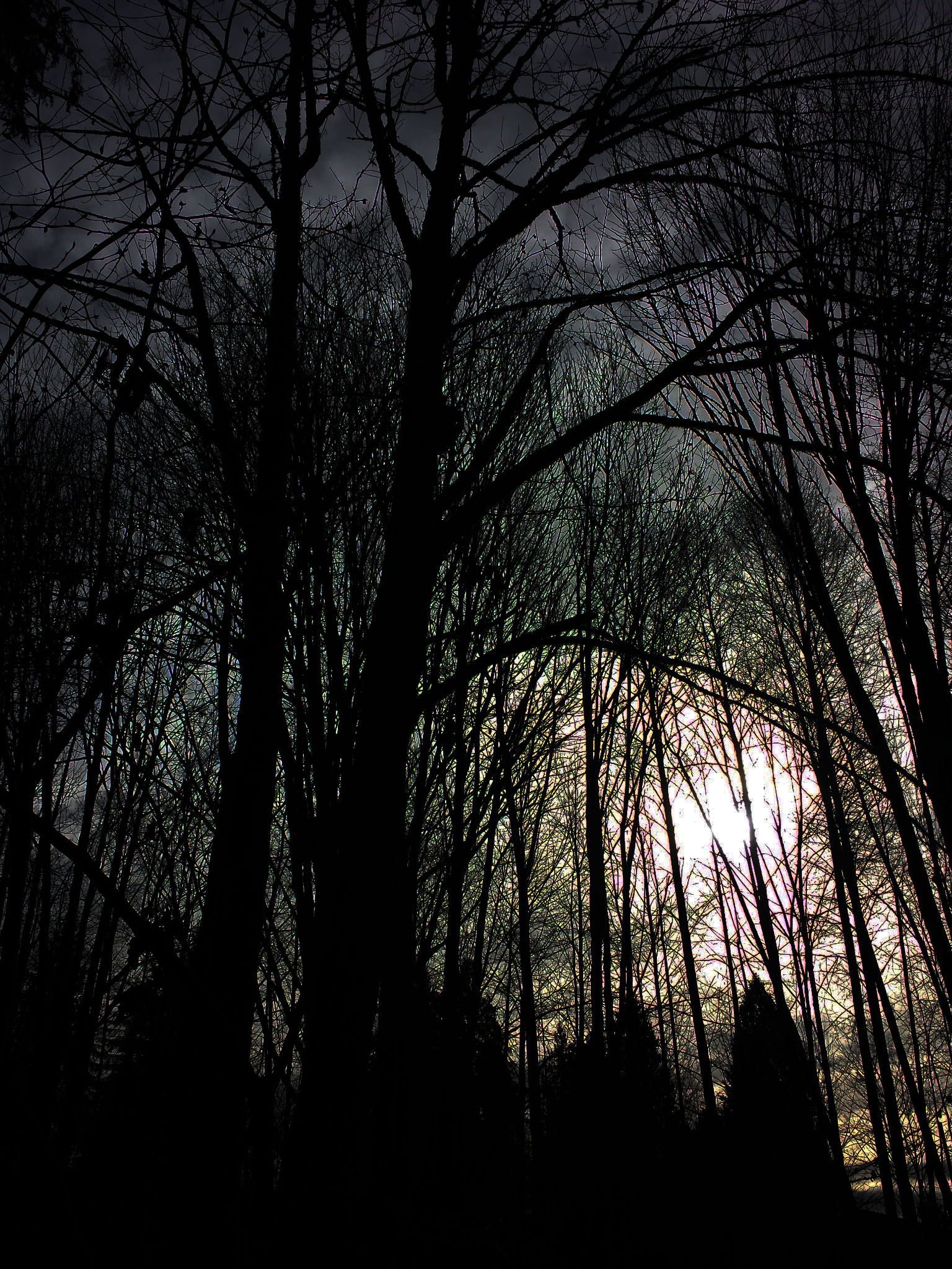 IMG_20150227_095519 2c.jpg