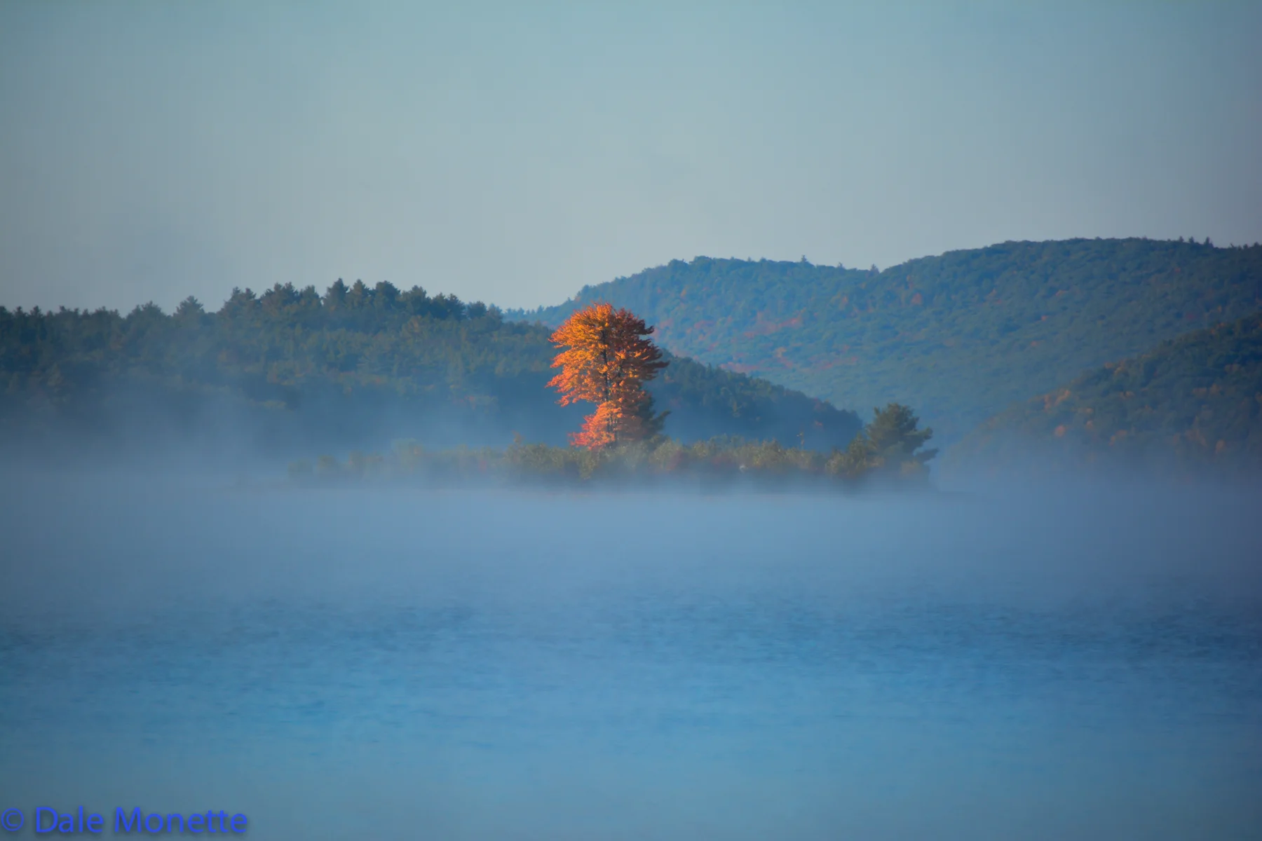 Lone tree island….