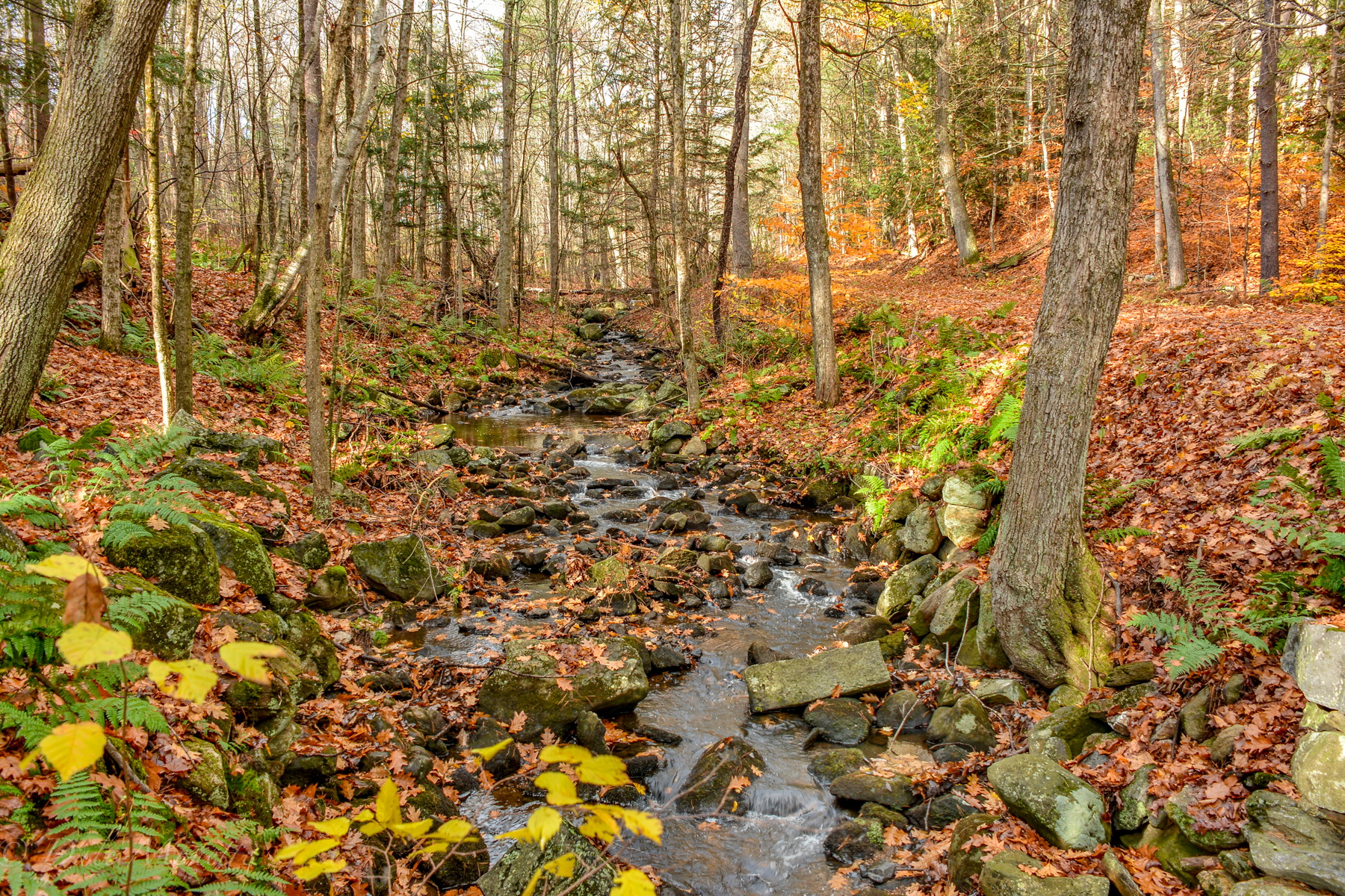 A small tributary that runs into Hop Brook, and then into the Quabbin.