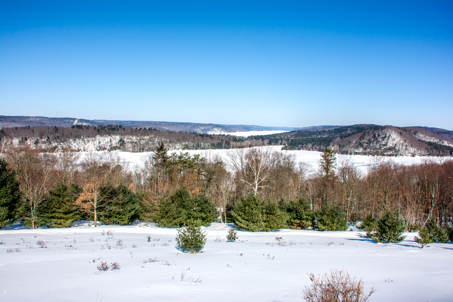 Looking up the west branch of Quabbin from the Enfield Lookout.