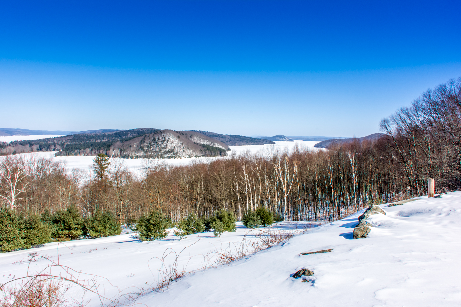 Looking at the Prescott Peninsula from the Enfield Lookout.