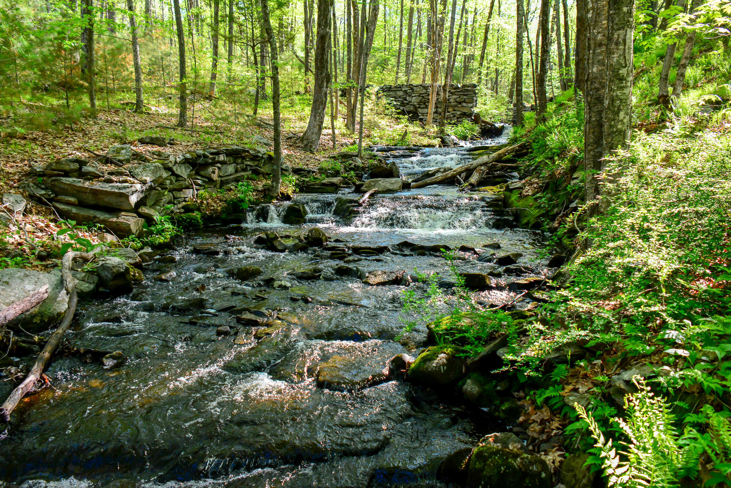 The remains of an old mill on Dickey Brook in the former town of Prescott..