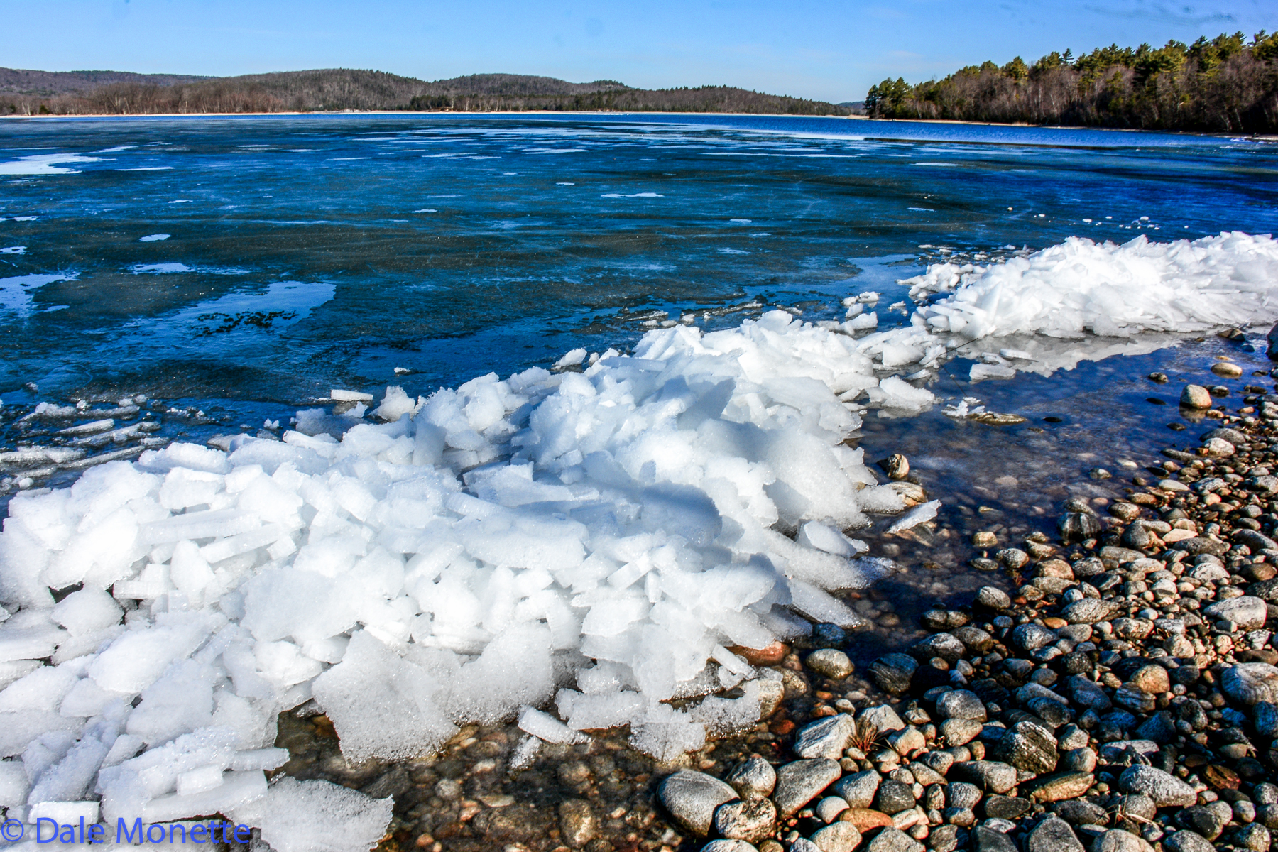 Late winter, early spring, ice out means life will be easier again to many birds and animals.