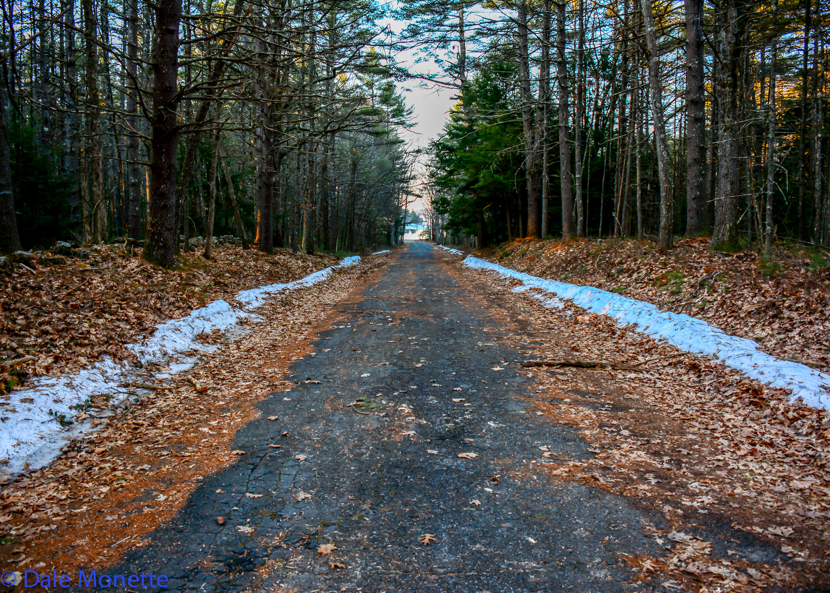 Snow is melting fast on all the roads and hiking trails.  Easy access to both people and animals.