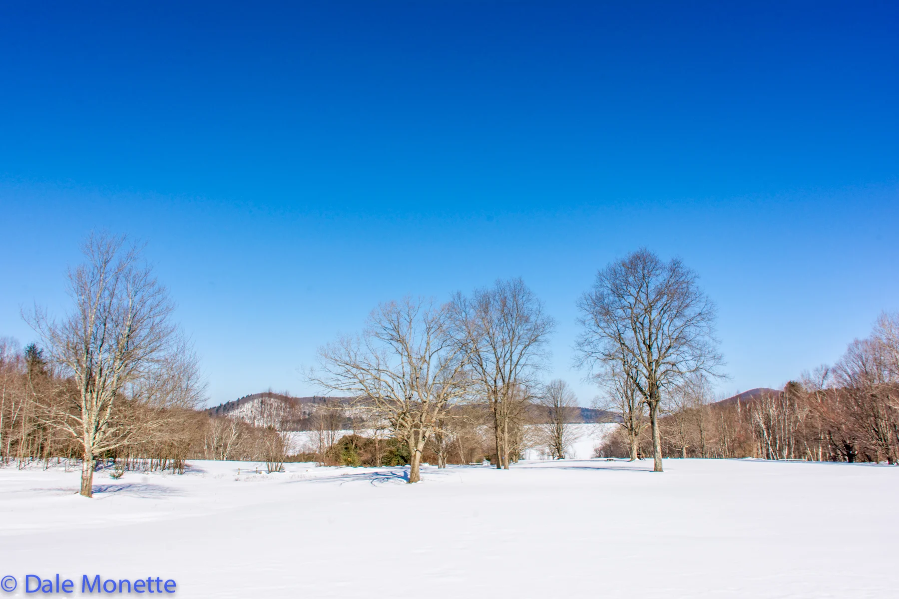 Hanks Picnic Area in Quabbin Park. One of the most popular sites in the whole watershed.