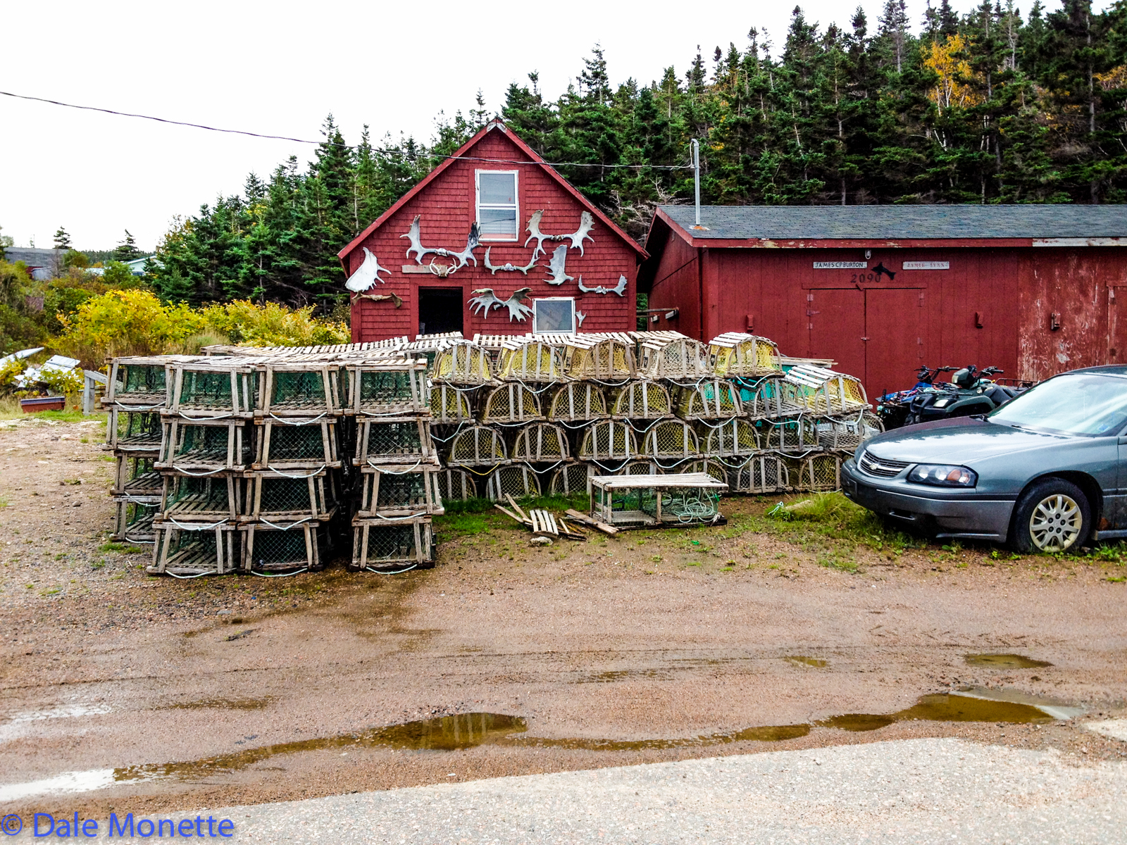   Lobster season in the small fishing village of White Point. By the looks of the barn its this guy hunts&nbsp;moose antlers laying on the ground in the off season.  