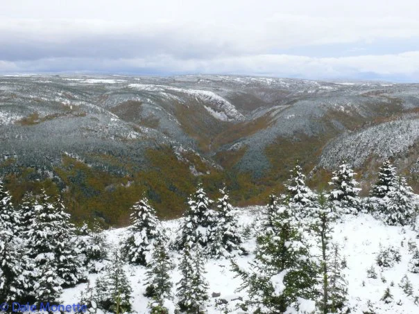 Looking off into the wilderness of the Cape Breton Highlands after an early snowstorm.