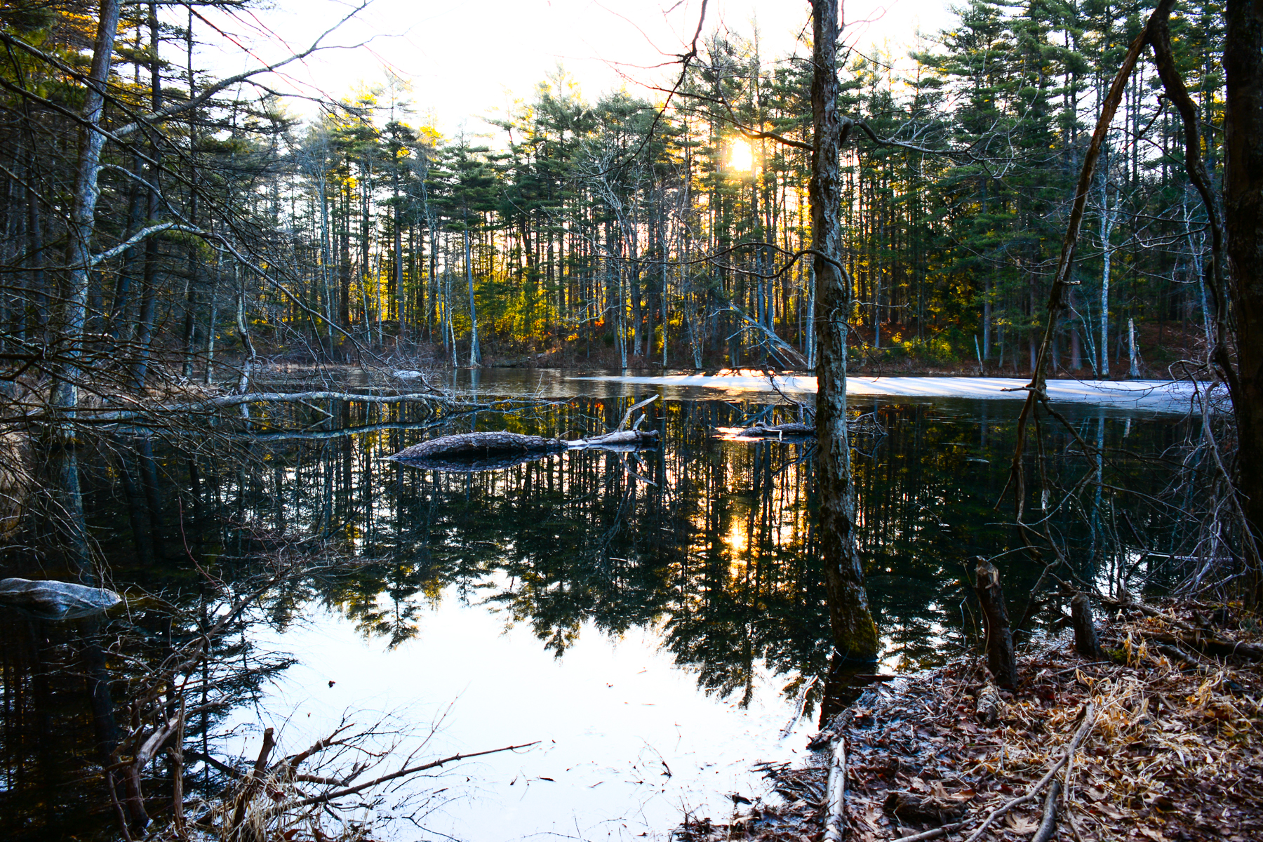   90 years ago this pond was used as an ice pond. Local residents cut blocks of ice out of it to use in ice boxes to keep food cool.  