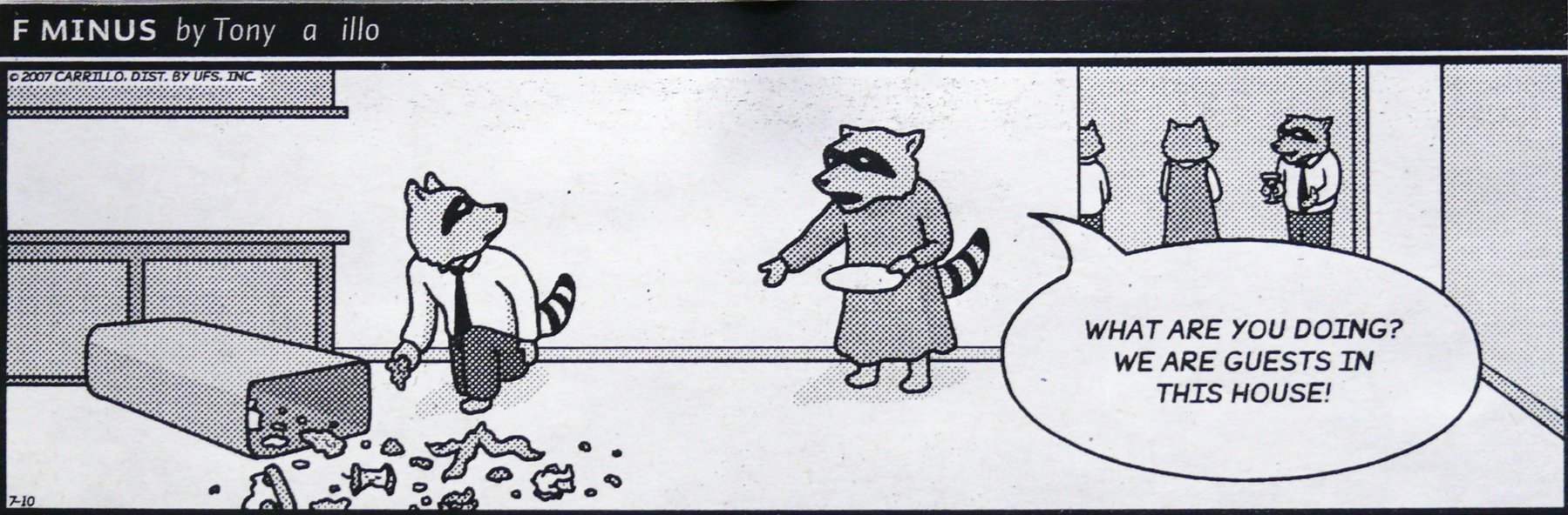 I thought this was funny ! Mrs. Raccoon did not I guess...
