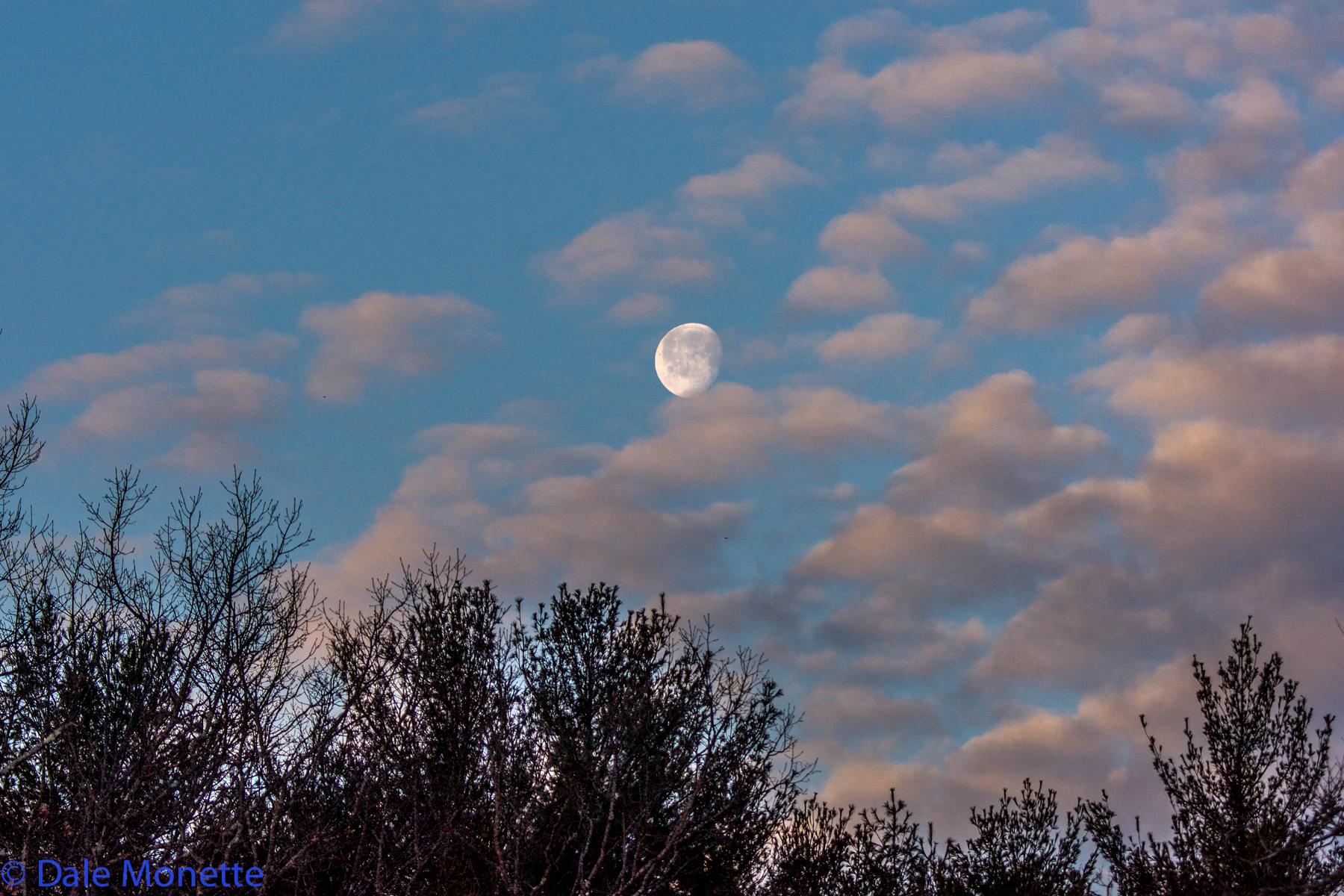 Early spring moon over Moore Island