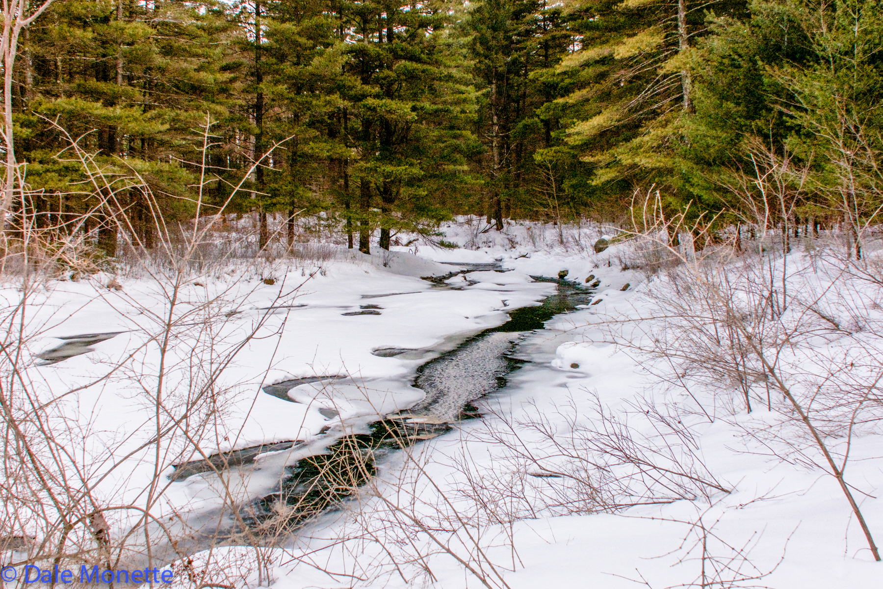 West branch of Fever Brook starts to open up in mid March.