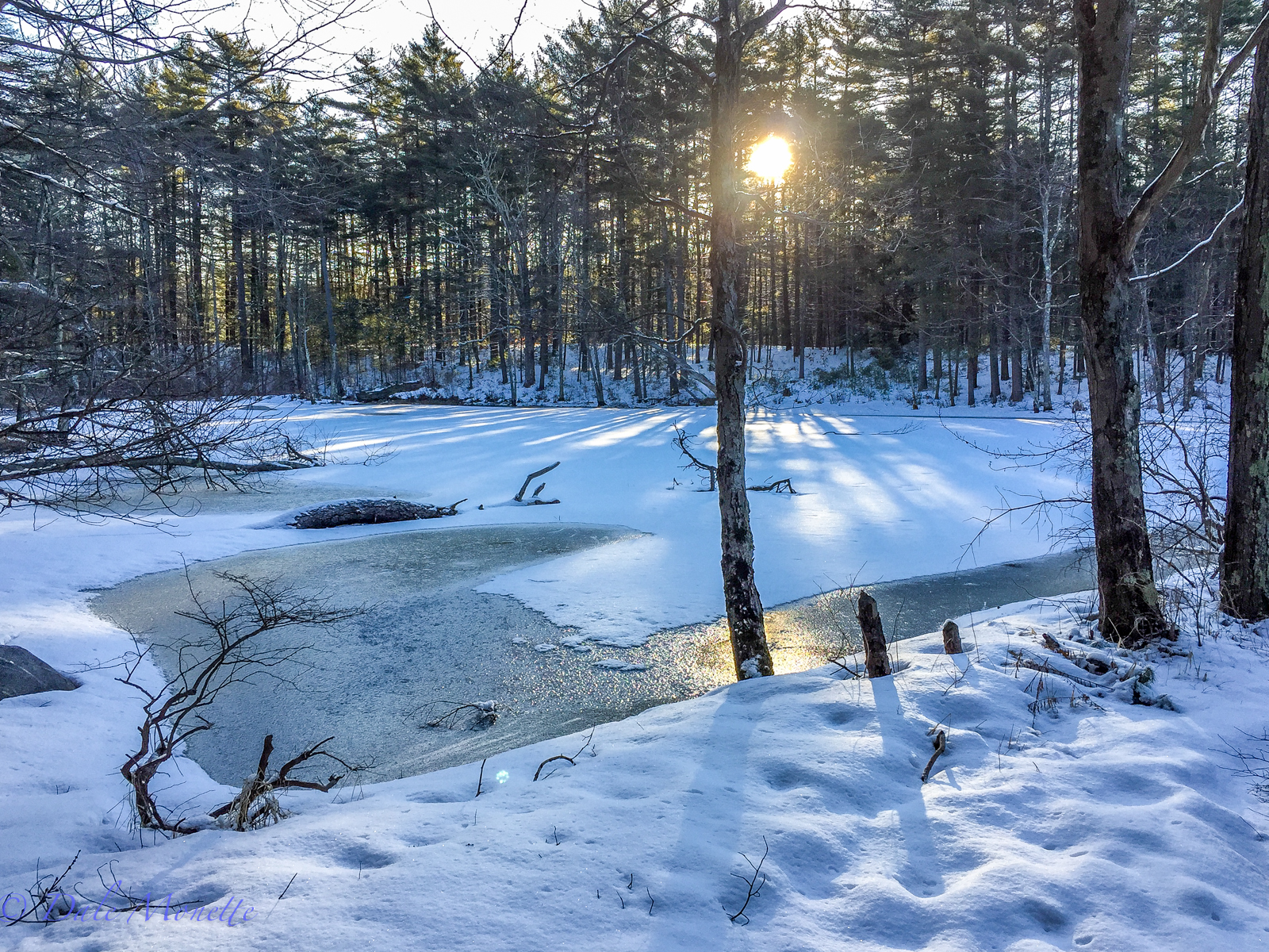 Early morning in early spring in a beaver pond. 