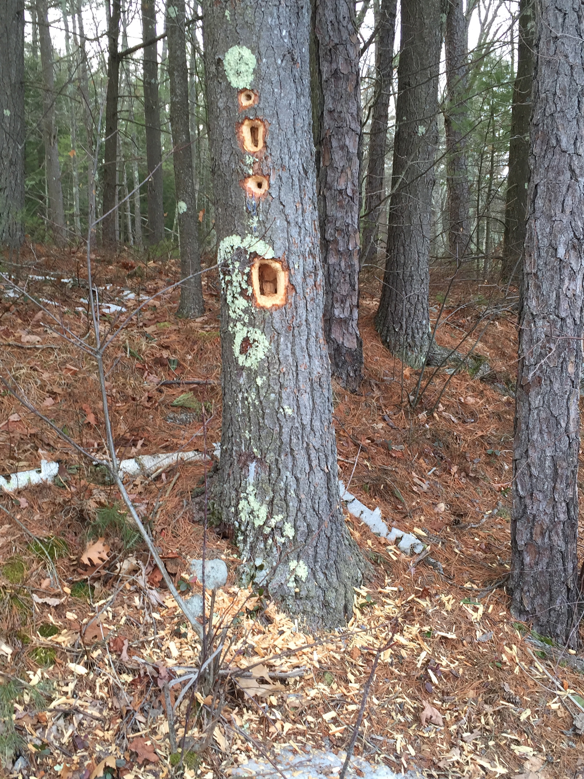 4/2/15