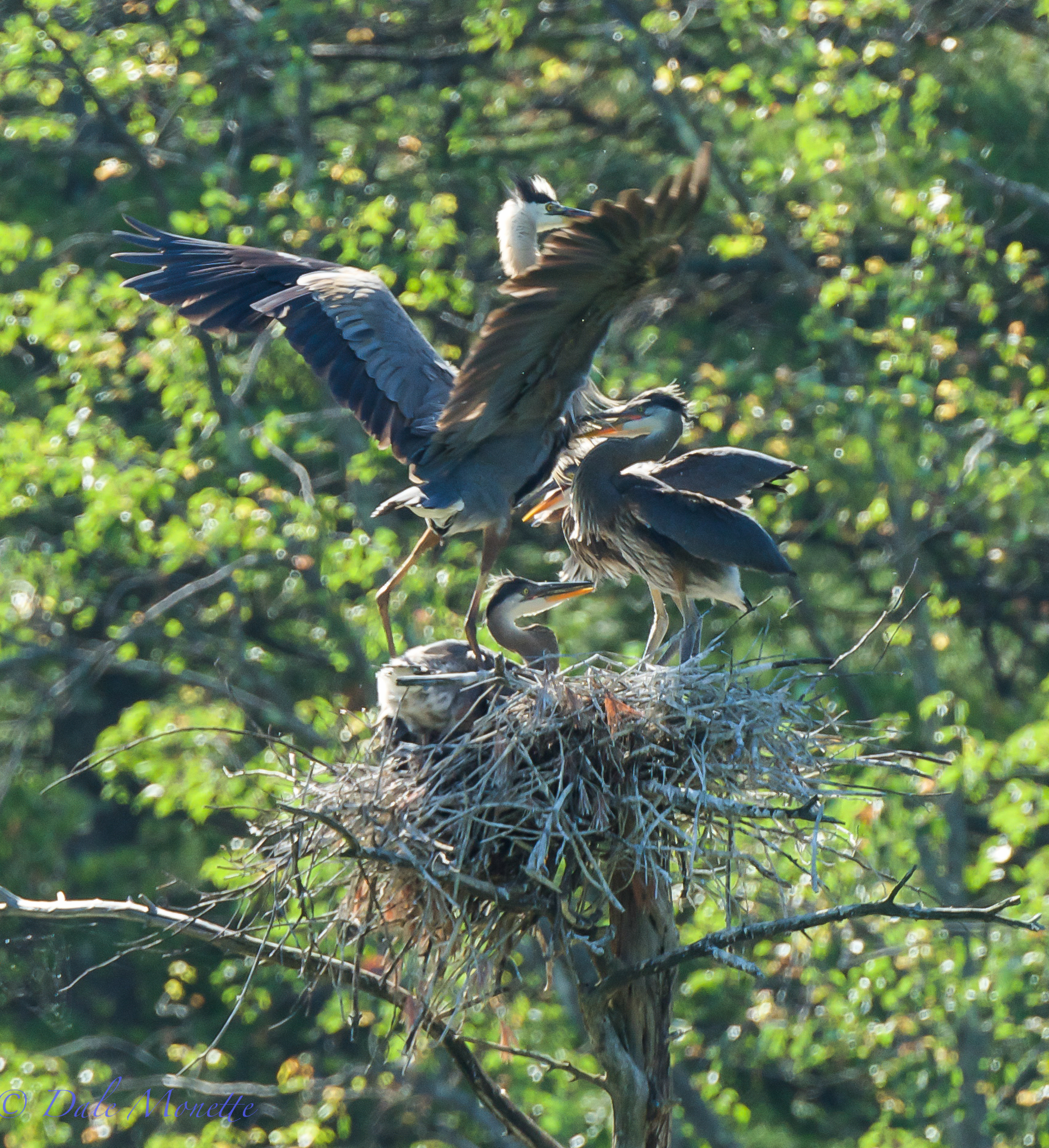 Another meal is delivered.