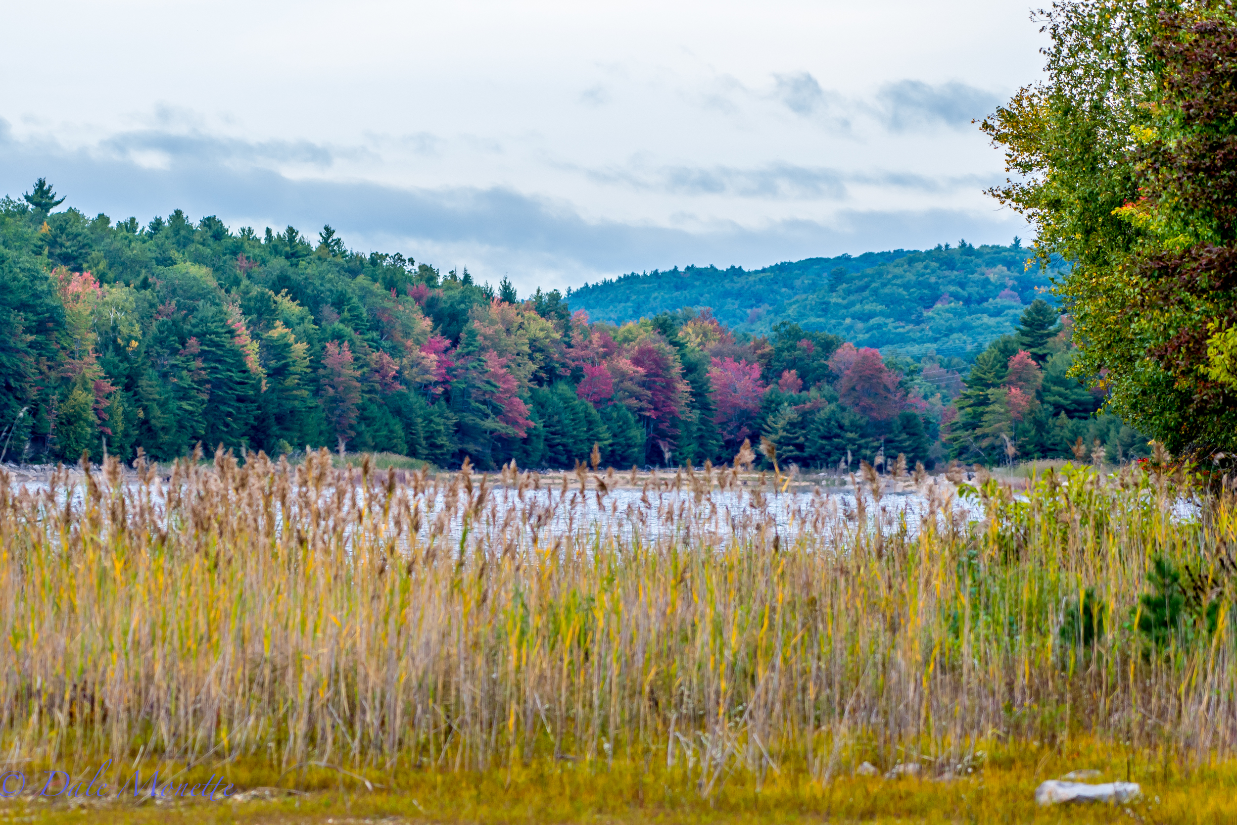 October 1st, 2015  Autumn is coming on at the Quabbin !