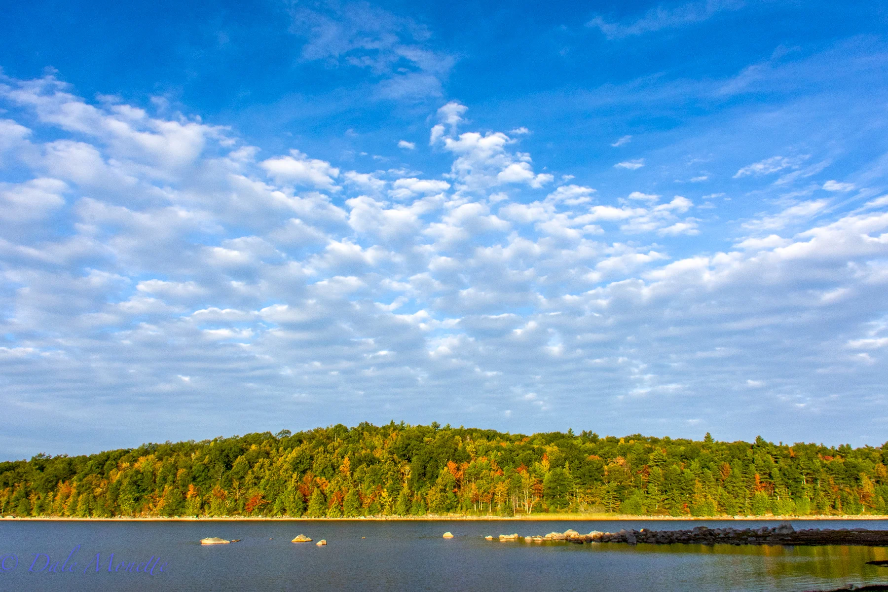 Early fall day at Quabbin, October 4th, 2015, Moore Island.