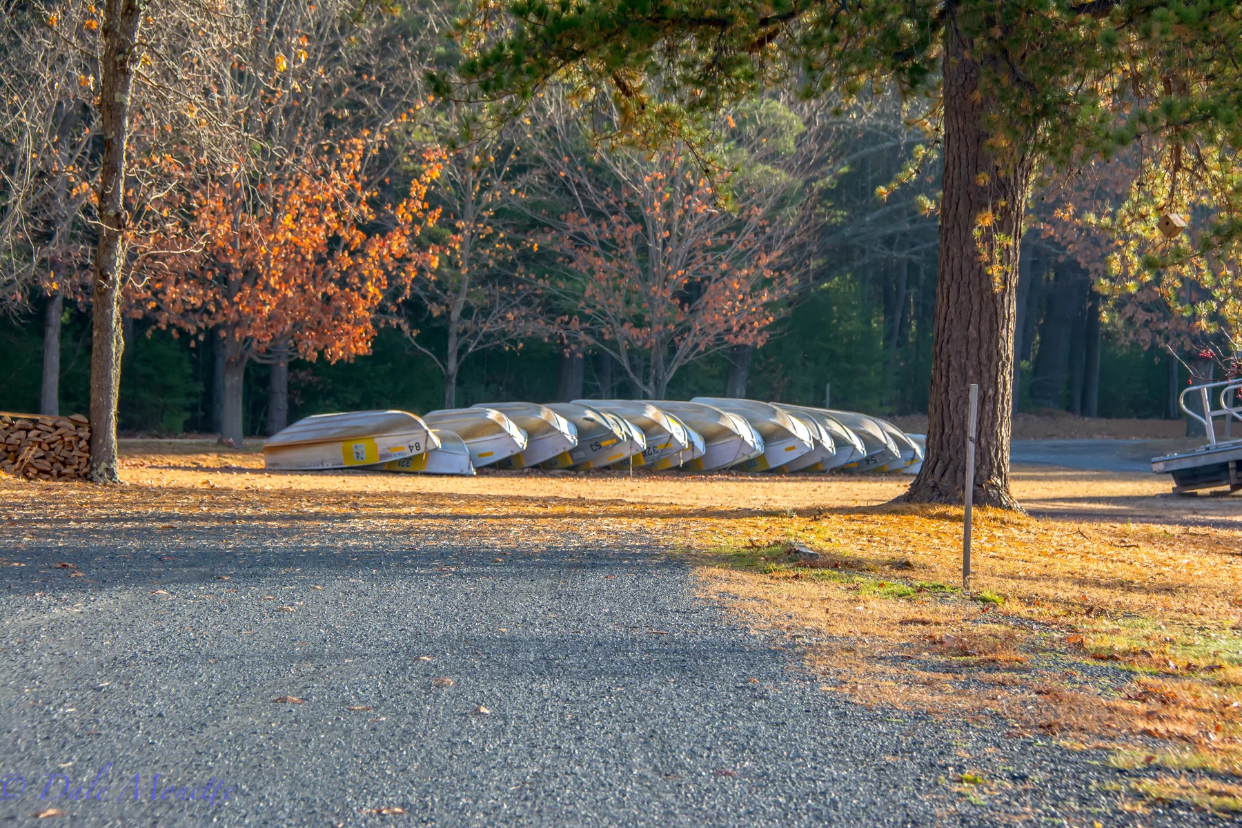 The DCR rental boats are already into their winters hibernation at the New Salem MA boat launch area. 11/9/15