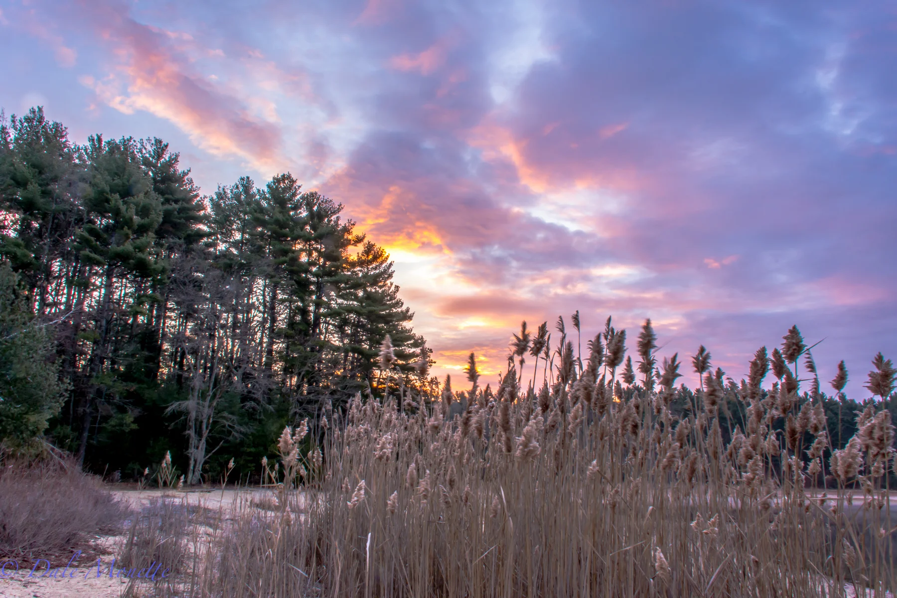 Sunrise, December 7th, Northern Quabbin......