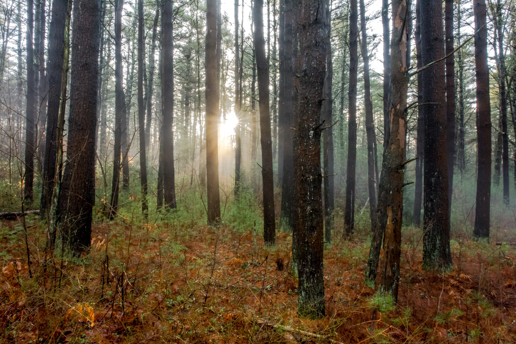 First light, Quabbin Reservoir 2/25/16
