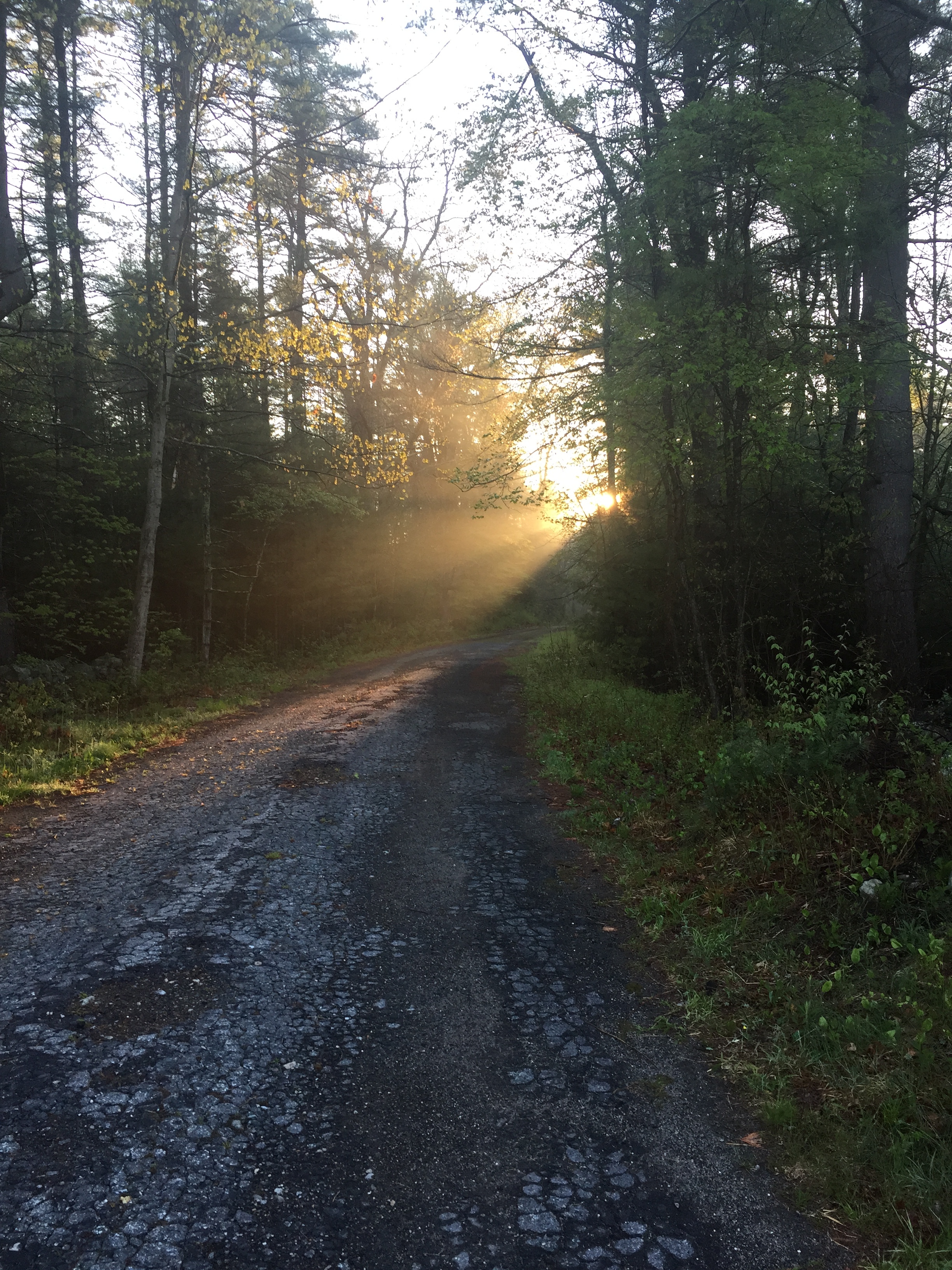 Good morning Quabbin !  