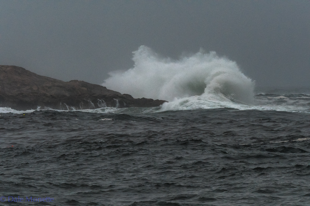   The mighty North Atlantic was pretty wild today after the heavy rain storm last night on Cale Breton. &nbsp;6/13/16  