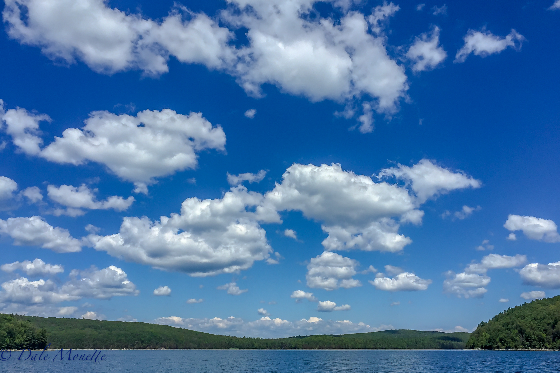 Good morning Quabbin !