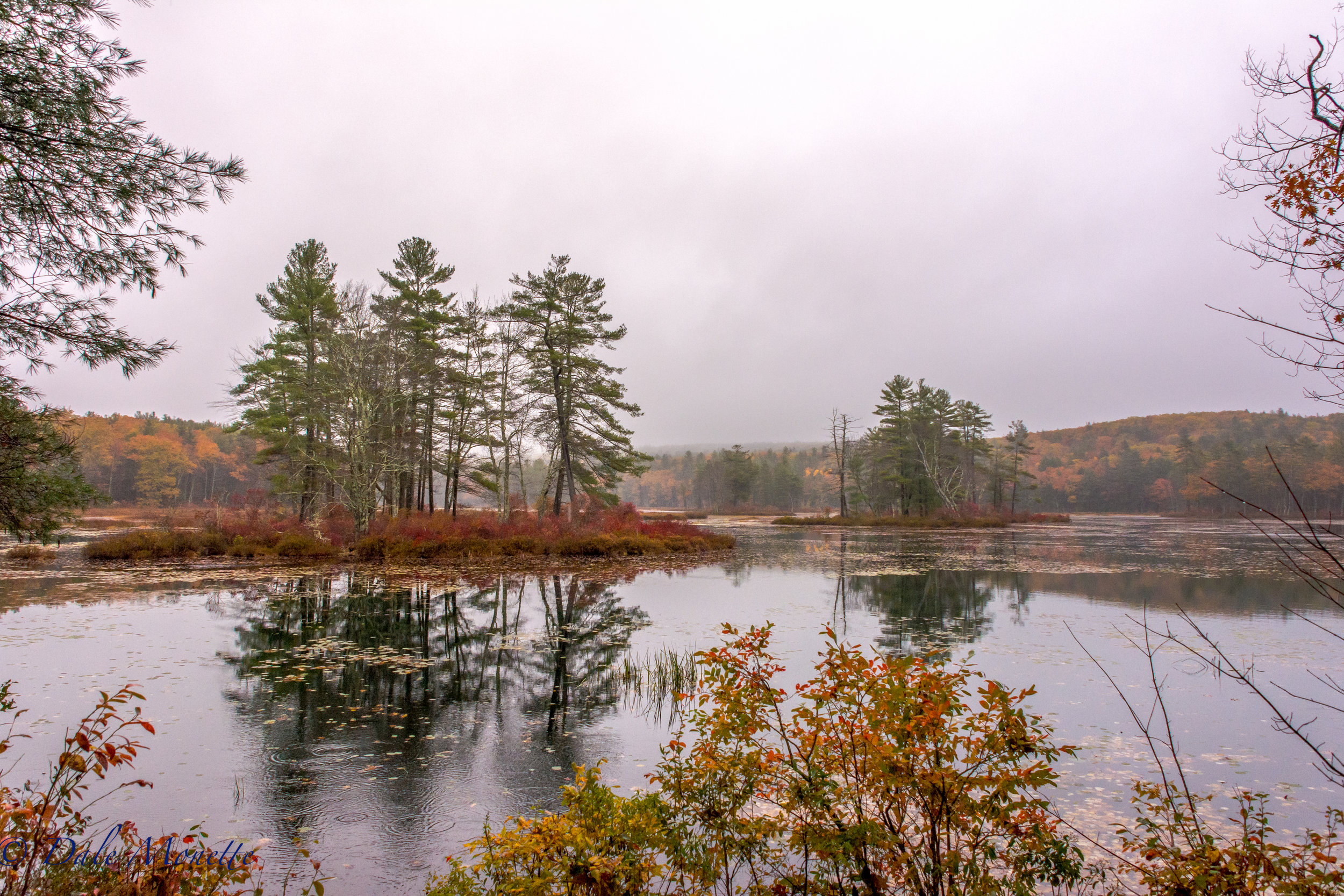  There was a light mist to everything this morning. &nbsp;Sometimes I find this better for scenics than direct sunlight. &nbsp;I love the softness that foggy, misty days can bring to photographs. &nbsp;Harvard Pond, Petersham, MA. &nbsp;10/22/16  