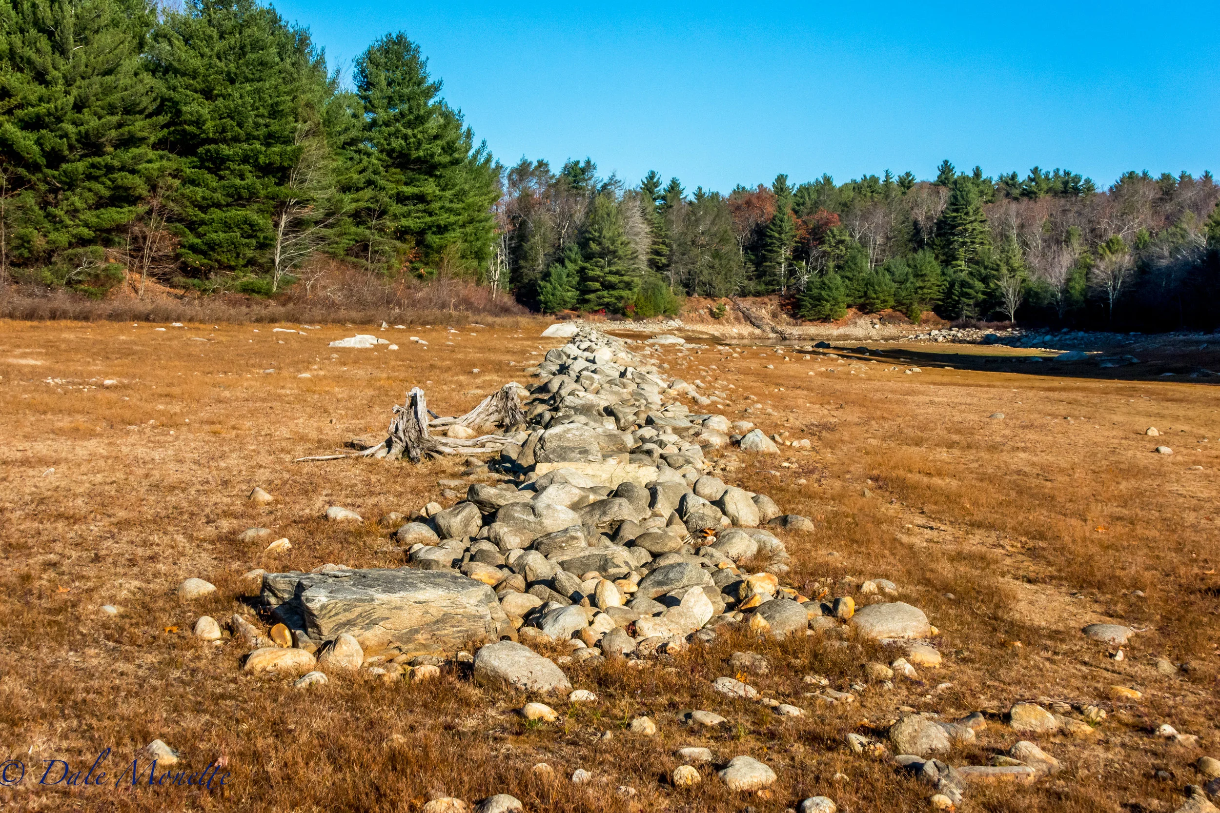 A look at how low the water is in the Quabbin Reservoir. This is where the mouth of the east branch of the Fever Brook dumps into the Reservoir way back in the distance. Notice the old stonewall now out of water. 11/18/16