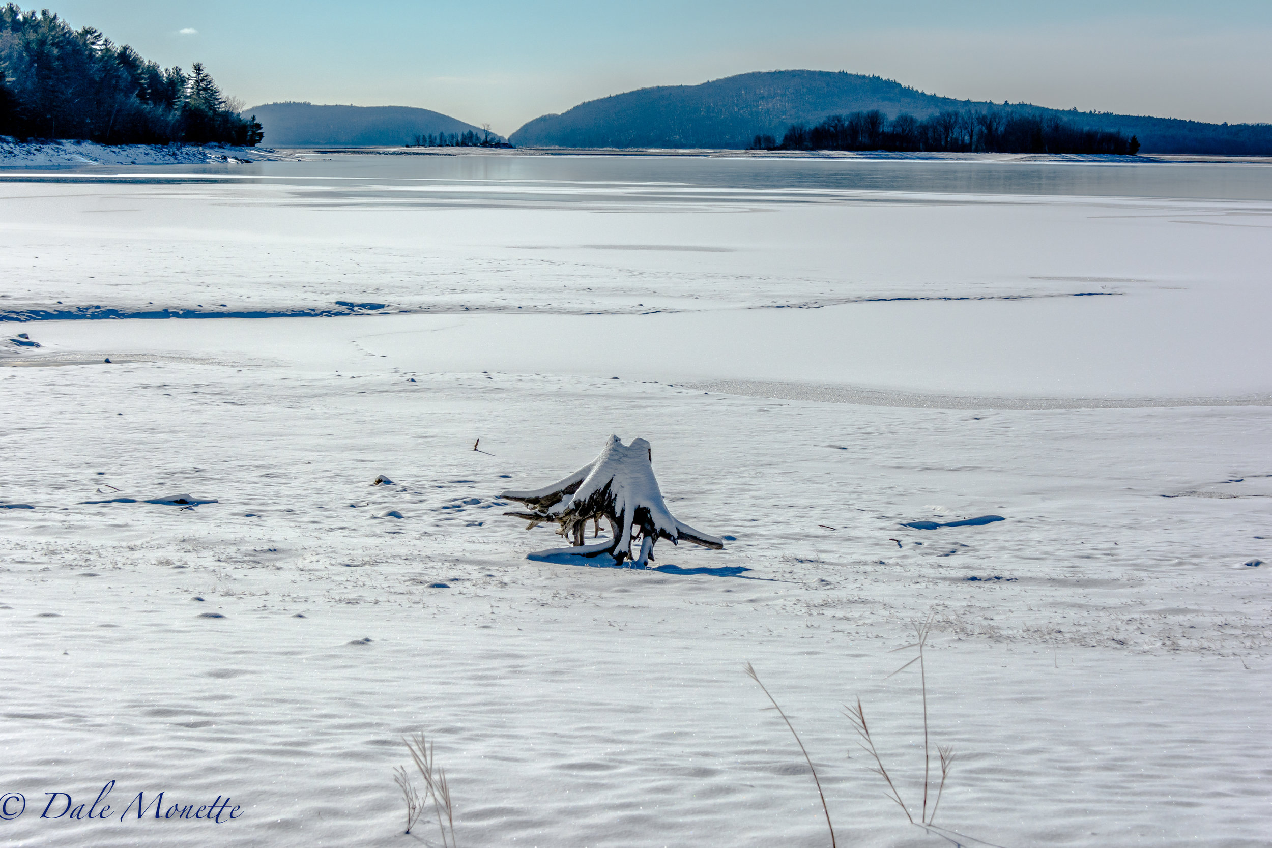   A lone stump of a tree that was cut in the mid 1930's and is under the water most of the time, &nbsp;sits on the Quabbin shoreline on a zero degree F day on January 8, 2017. &nbsp;The tree was cut to clear the valley of all trees to make room for t